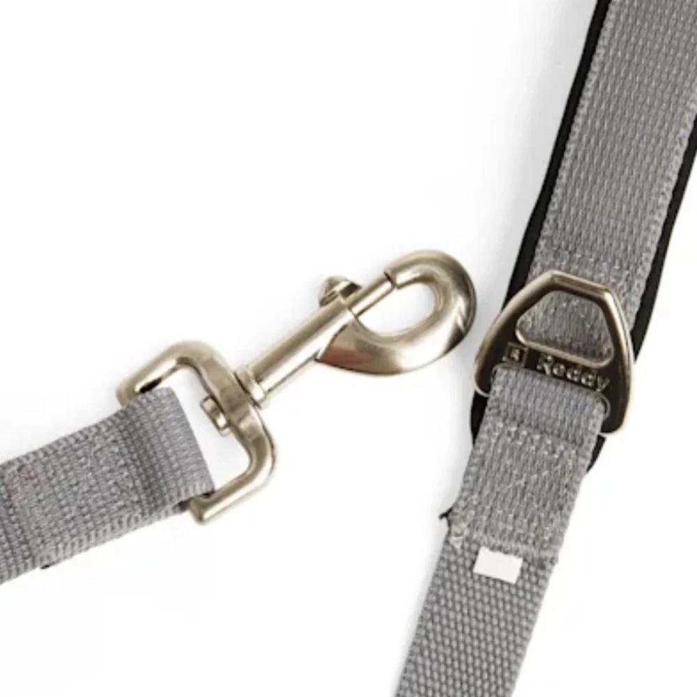 NWT Reddy dog walk kit leash collar XS